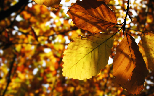 1722400 (a): :2560x1600